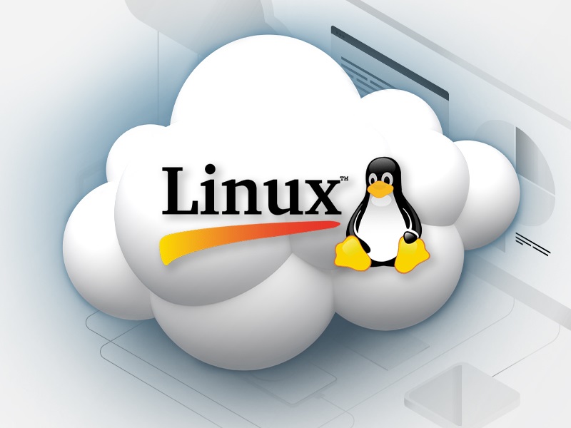 Telemach Biznis BH - Najbrži internet paketi, EON, telefonija